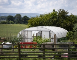 crabtree hall polytunnel