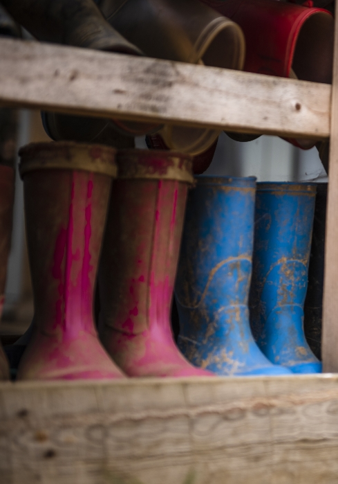 crabtree hall wellies
