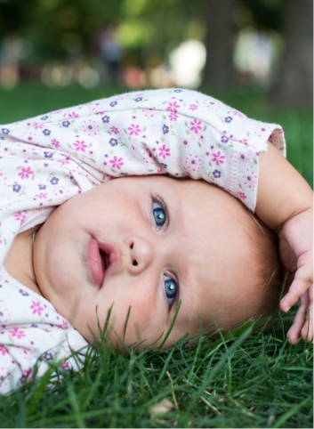 mini explorer baby bunny in grass