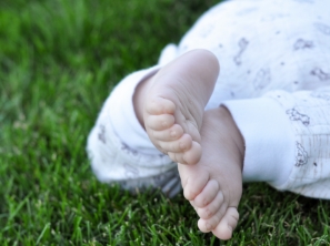 mini explorer laying in the grass