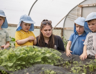 polytunnel mini