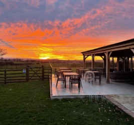 the nest with sunset
