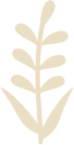 yellow plant